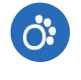 bring-fido